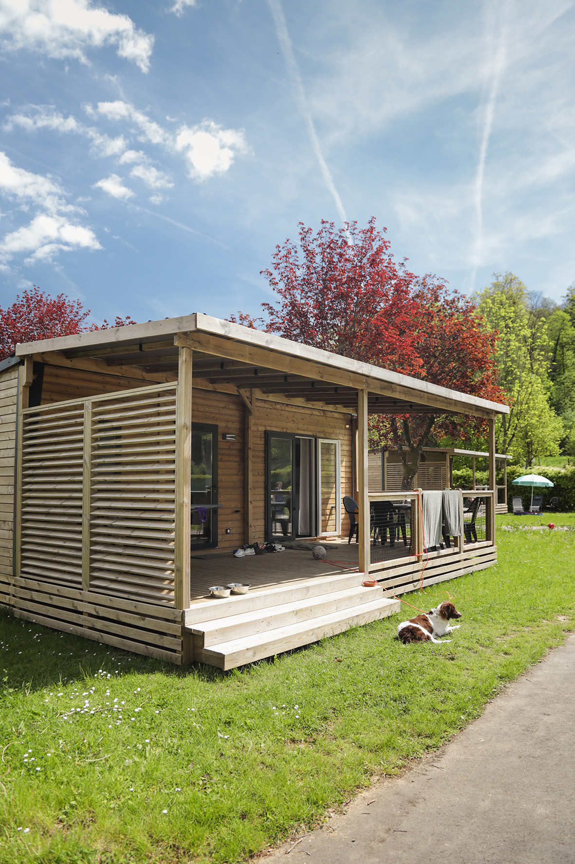 The Nest 29 mobile home