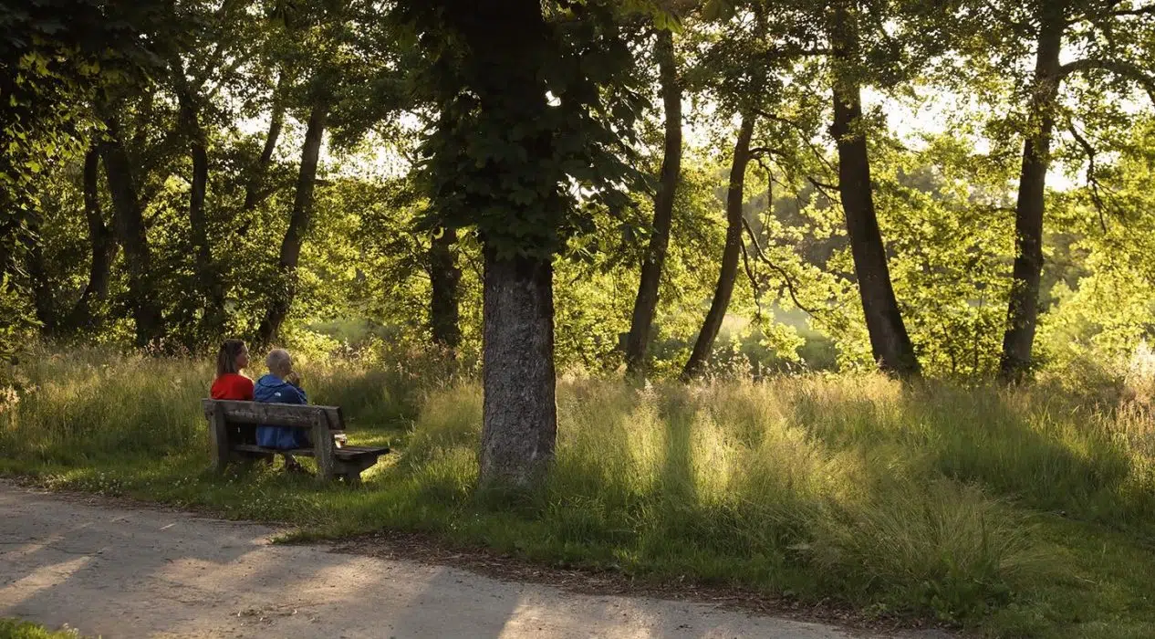 Les Trésors de notre Belle Région : La GAUME !