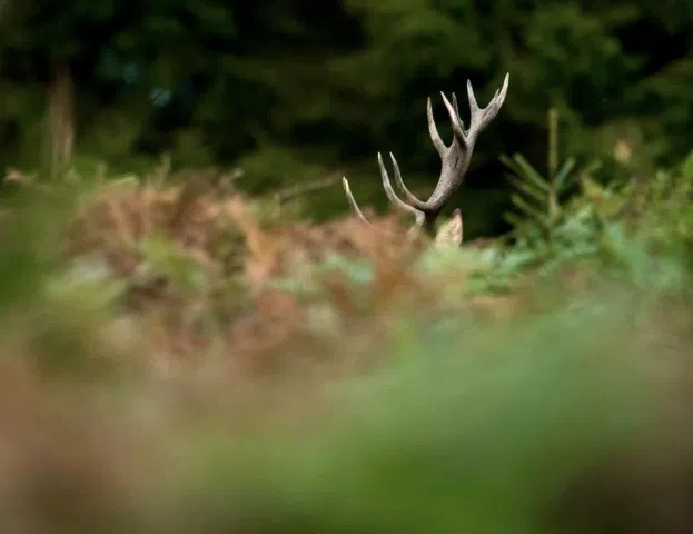 Capture d’écran 2025-09-01 à 14.52.47