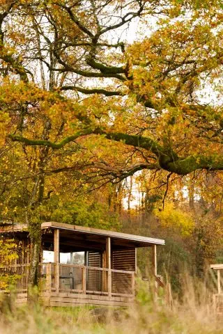 559411313_1180624717604320_4590022607444842771_n