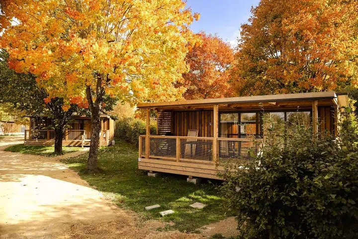 562333779_1163403132659812_3996054190089018293_n