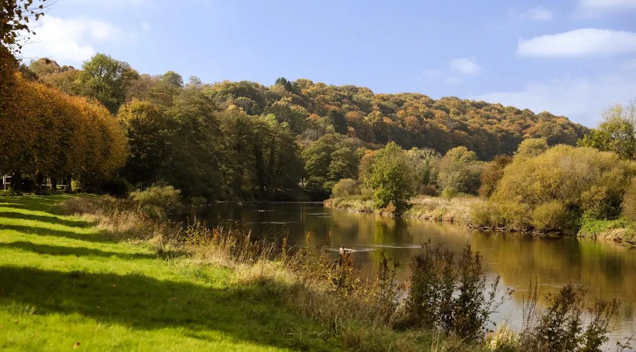 L’automne s’installe au Florenville Camping !