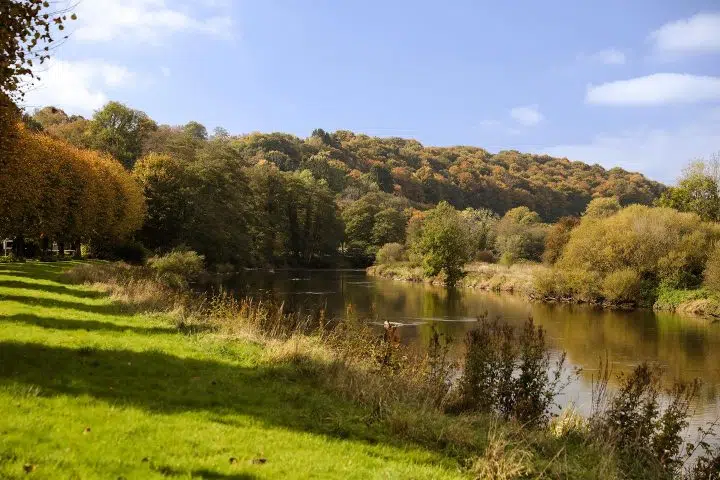 565741270_1163402862659839_2970401507690439389_n