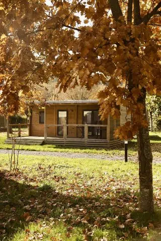 574028826_1174591534874305_1982686482309704923_n