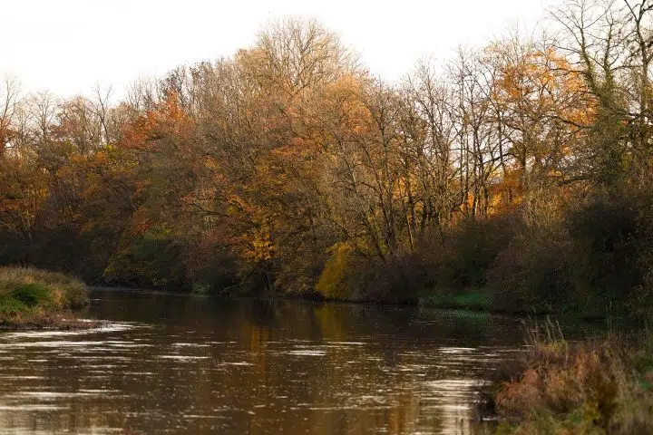 578106052_1180624684270990_3280664774602404779_n