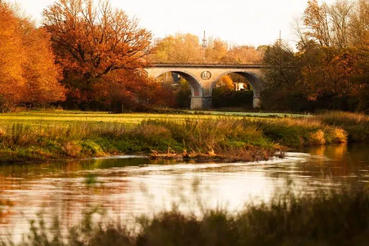 578989741_1180624537604338_6842433124705159351_n