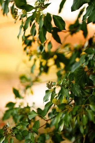 579322296_1180624117604380_165563712477791844_n