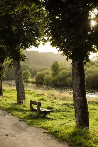 587229988_1193488556317936_8769424422660141102_n