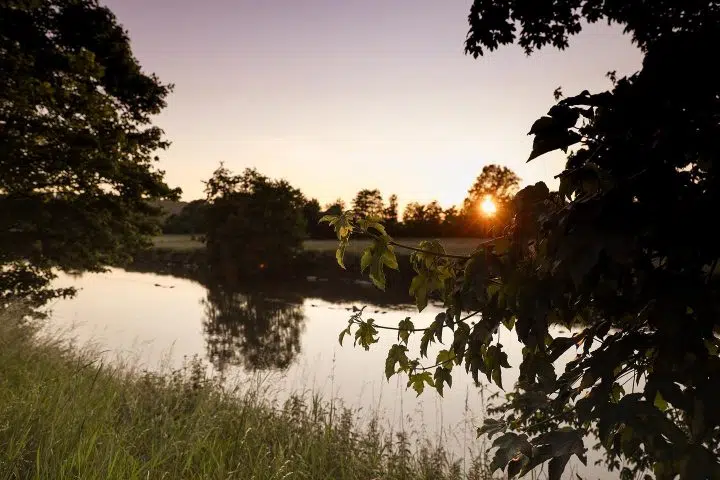 589381269_1193488082984650_5102329382170998607_n