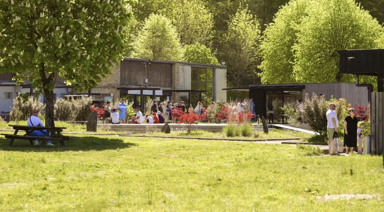🌳🌸🏕️ Cette semaine au Florenville Camping : un vrai petit air de printemps au bord de la Semois 🏕️🌸🌳