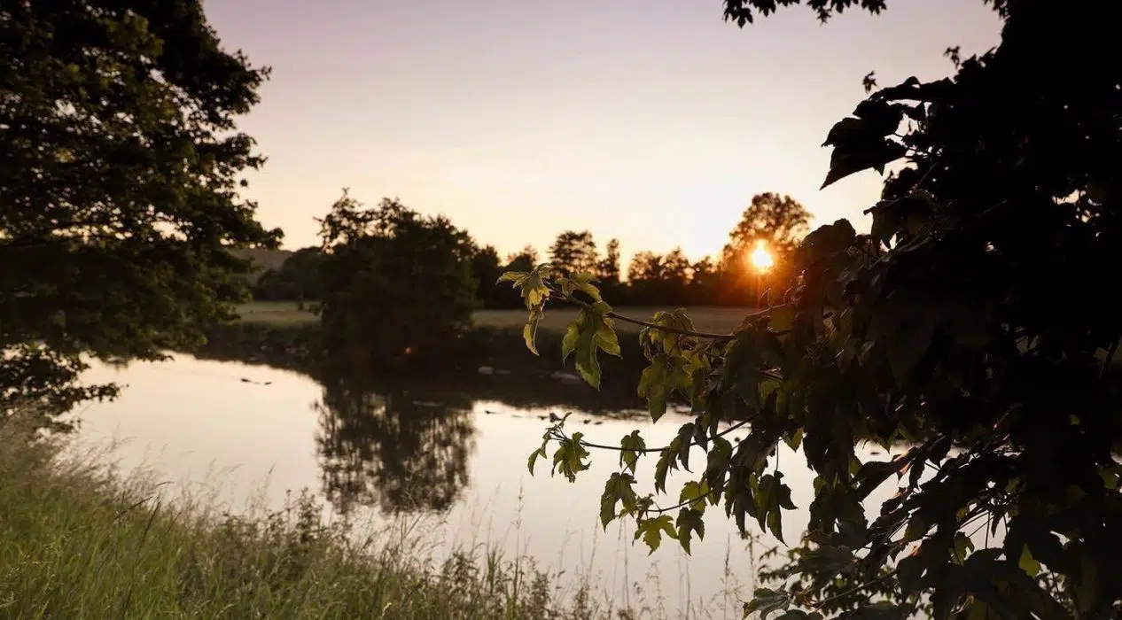 🌞🍂🦜 L’été indien s’invite au Florenville Camping ! 🦜🍂🌞