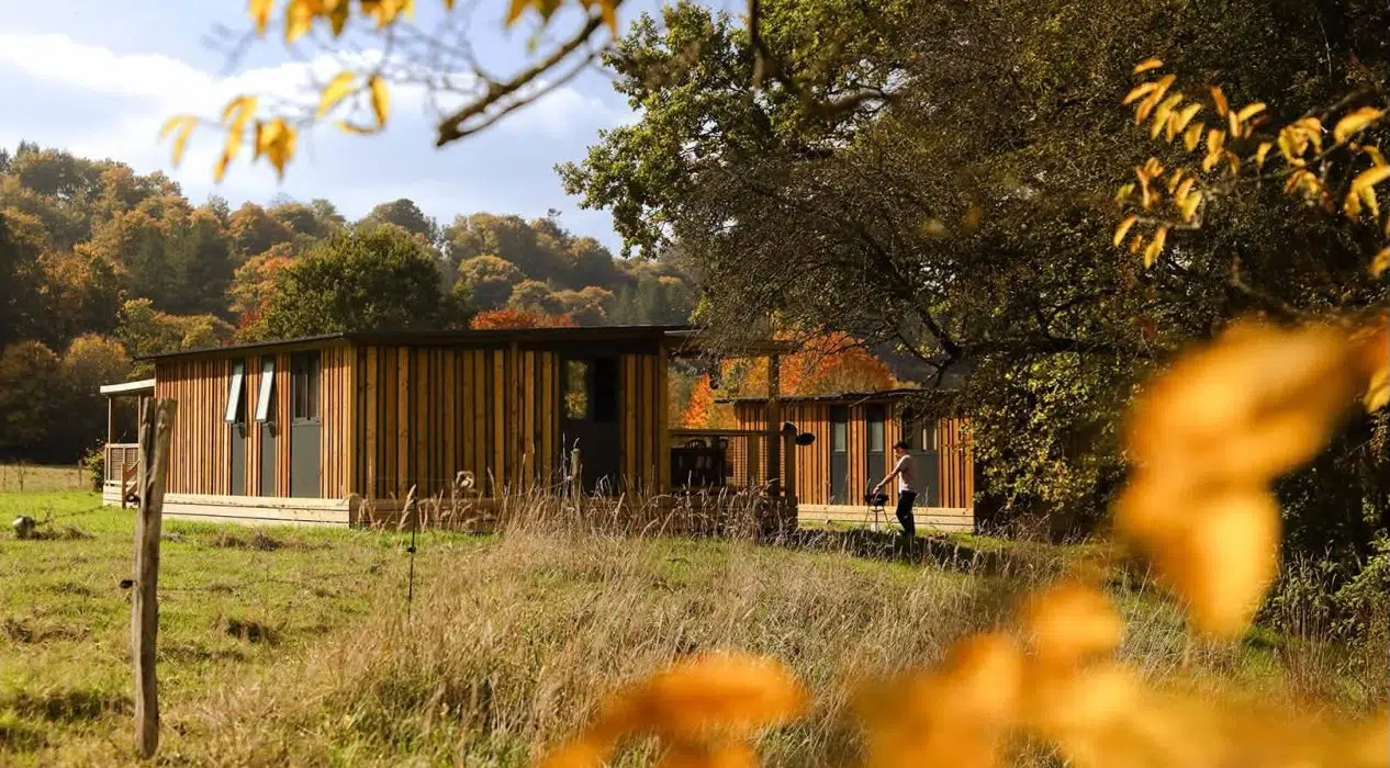 🍂🦌🌲 L’automne a un son… celui du Brame du Cerf ! 🌲🦌🍂