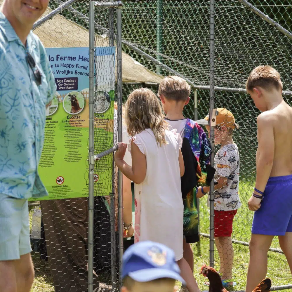 ferme-animaux-enfants-poulailler