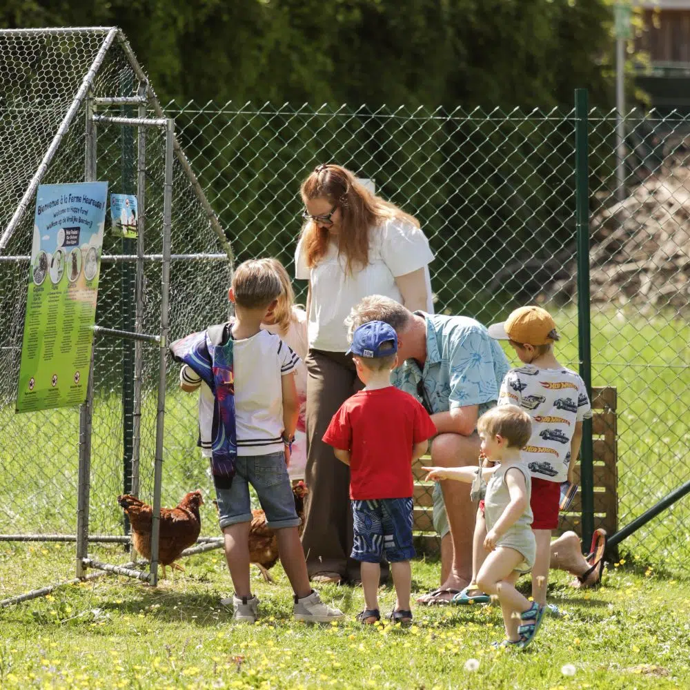 Ferme des animaux du Camping Le Florenville – familles et poules