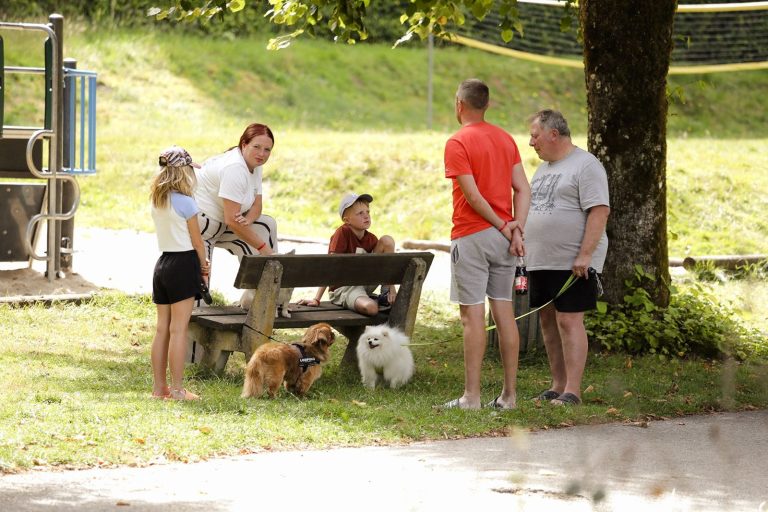 Emplacement camping au bord de la Semois, Camping Le Florenville