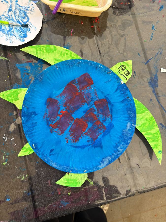 La tortue disco