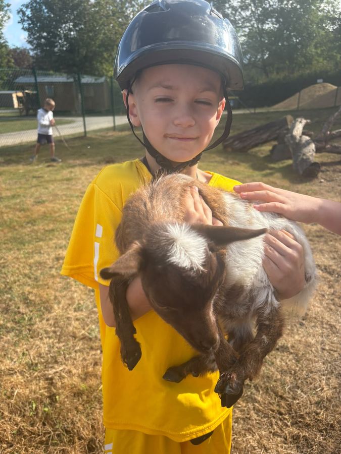 Casque obligatoire pour câlin de chèvre