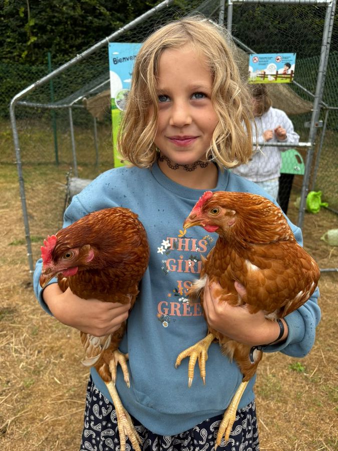 Deux poules, zéro stress
