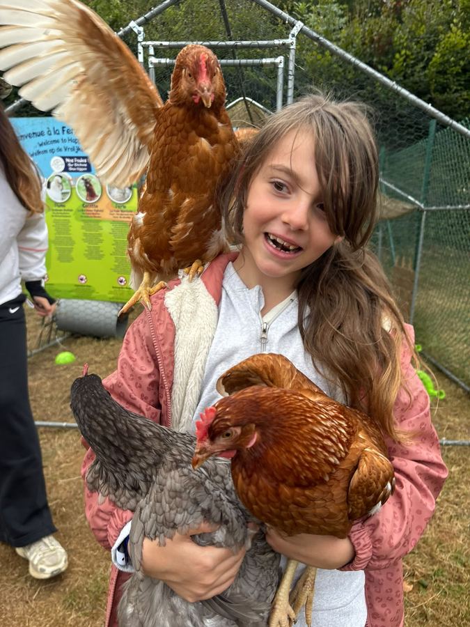 Quand la poule te prend pour un perchoir