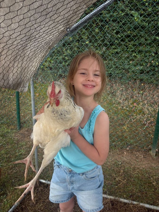 Poule position