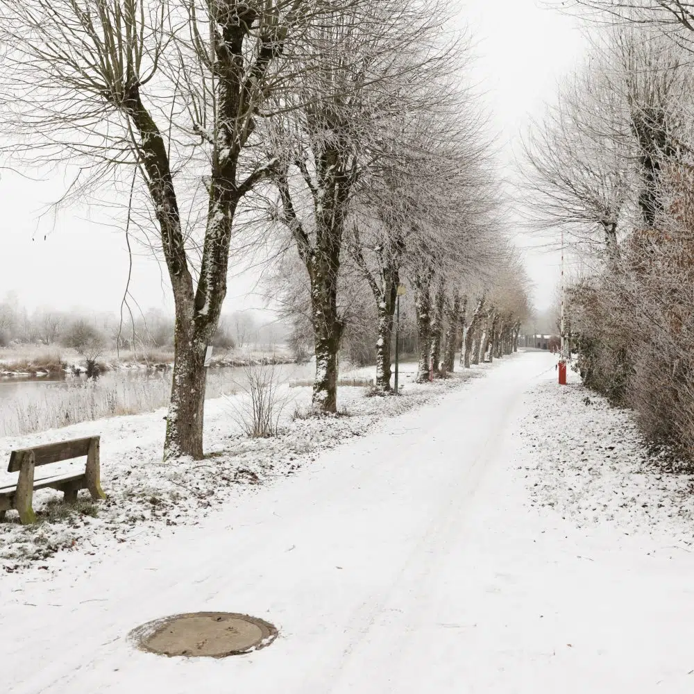 hiver-neige-allee-arbres-givre-camping-florenville